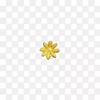 花瓣黄色图案-黄色雏菊图片