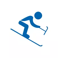 2014年冬季奥运会冬季残奥会高山滑雪