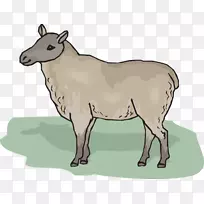 切维奥特羊夹艺术-卡通母羊