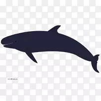 虎鲸座头鲸剪贴画-假日海豚剪贴画
