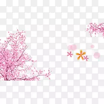 粉色樱花墙纸-樱花