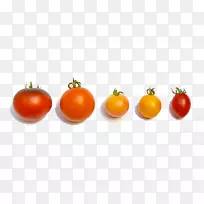 樱桃番茄有机食品蔬菜茄子甜度-多种番茄