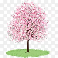 樱花春季剪贴画-春季树木剪贴画
