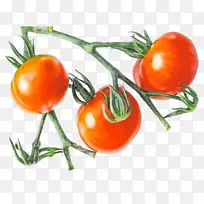 樱桃番茄蔬菜图-红番茄