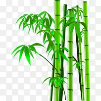 竹子图像扫描器-卡通竹图片竹子剪影，竹子
