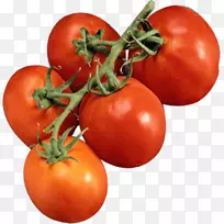 李子番茄樱桃番茄灌木番茄蔬菜一束西红柿