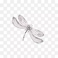 蜻蜓平面设计-生美手绘蜻蜓系