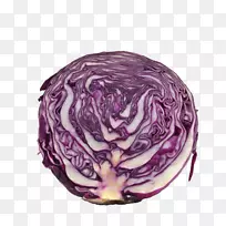 红白菜砧木摄影蔬菜紫卷心菜