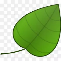 圆角绿色字体-简单的植物剪贴画