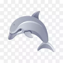 下载剪贴画-海洋生物，海豚