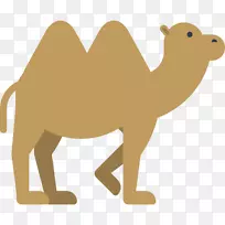 骆驼卡通-骆驼