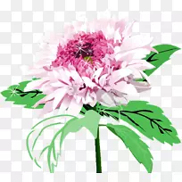 花卉设计菊花切花.菊花