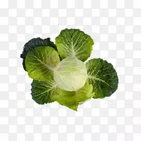 营养维生素a脂肪维生素k-大白菜