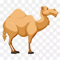 滴水卡通腾格沙漠剪贴画-骆驼