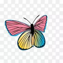 蝴蝶剪贴画-彩色蝴蝶