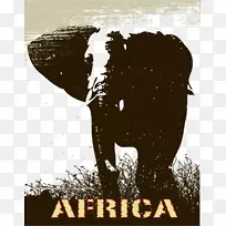 长颈鹿，狮子，大象，野生动物.大象载体材料