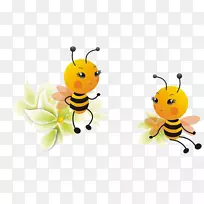 贵州蜜蜂
