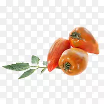 圣马尔扎诺番茄意大利料理灌木番茄原料摄影水果-欧洲番茄