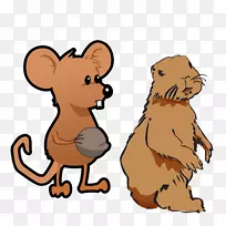 褐鼠实验鼠黑鼠-两只可爱的孟氏宠物鼠