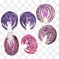 红白菜蔬菜紫卷心菜元素下载