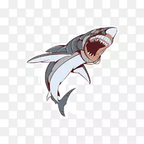 大白鲨剪贴画-凶猛鲨鱼
