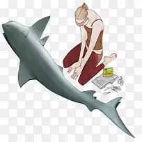 安魂曲鲨鱼插图-简单的美和鲨鱼