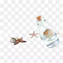 玻璃瓶-海星创意拉漂流瓶免费
