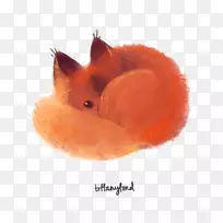 红狐猫画-狐狸