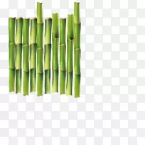 木筏渡船-绿竹