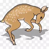 白尾鹿夹跑艺术鹿