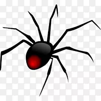 红背蜘蛛剪贴画-黑色蜘蛛