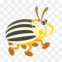 科罗拉多马铃薯甲虫剪贴画-卡通昆虫