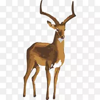 麋鹿艺术绘画-麋鹿，鹿