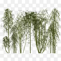 竹子像素竹林