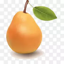 梨橘子