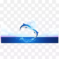 蓝色-新鲜的蓝色海豚