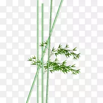 竹子水彩画水墨画.竹子水彩画
