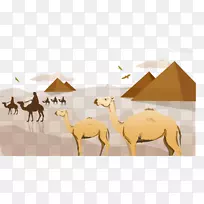 撒哈拉骆驼阿拉伯沙漠剪贴画-埃及沙漠骆驼金字塔背景