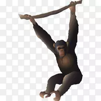 猩猩长臂猿卡通-画的大猩猩