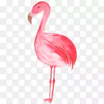 火烈鸟插图-红色手绘火烈鸟