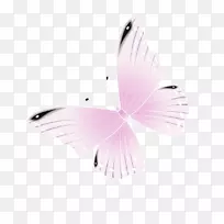 蝴蝶粉红壁纸-粉红蝴蝶