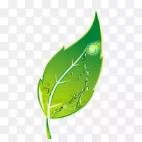 绿茶西县平面设计-绿茶图标载体材料