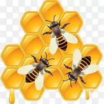 蜜蜂复合剪贴画-蜜蜂