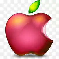 ipod经典苹果图标图像格式图标-xuancai苹果ipod