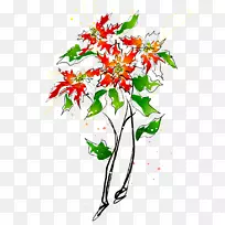 花卉设计绘画插画厂