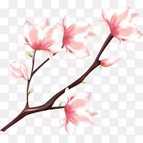 桃花水彩画-桃花