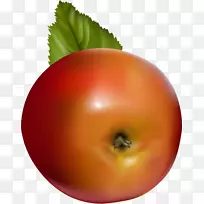 番茄苹果果实苹果底部
