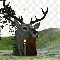 麋鹿驯鹿游戏白尾鹿-3D鹿
