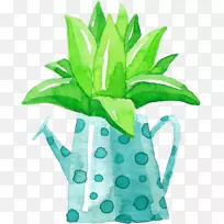 芦荟-植物.手绘芦荟盆栽