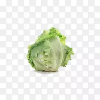 莴苣三明治蔬菜沙拉-菜用卷心菜